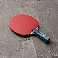 Ракетка BUTTERFLY Timo Boll  ALC Tenergy 05