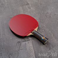 Ракетка BUTTERFLY Zhang Jike ALC Tenergy 05 FX