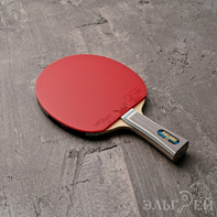 Ракетка BUTTERFLY Viscaria Tenergy 05