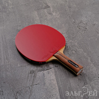 Ракетка BUTTERFLY Gionis Carbon Offensive Tenergy 05 FX