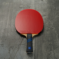 Ракетка BUTTERFLY Boll Forte III Rozena