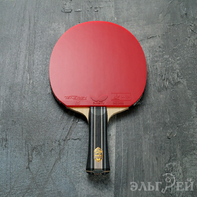 Ракетка BUTTERFLY Fan Zhendong ZLC Tenergy 05