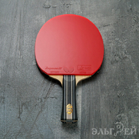 Ракетка BUTTERFLY Fan Zhendong ZLC Dignics 05